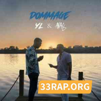 YL ft. Anas - Dommage