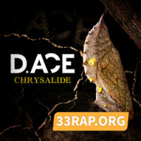 D.ACE - Chrysalide Mp3 Album Complet